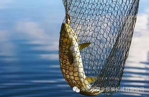 DRCA Double aiguille barre PP filet <span class=keywords><strong>de</strong></span> pêche monofilament fil corde faisant la ligne <span class=keywords><strong>de</strong></span> production - Product Image 2