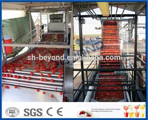 Tomatoes Machine Tomato Paste Ketchup Sauce Processing Machine