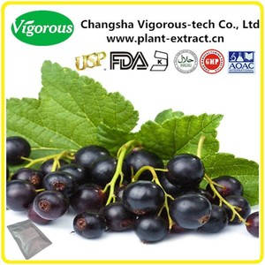 Extracto <span class=keywords><strong>de</strong></span> Grosella Negra, Antocianinas para Suplementos Alimenticios - Product Image 5
