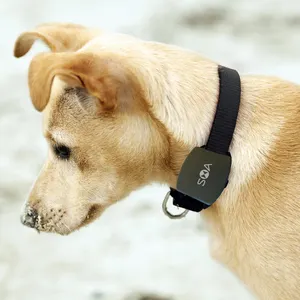 SIMカード付き犬追跡デバイス防水IP68Bluetooth smsフィットネスアクティビティGPSペットトラッカー