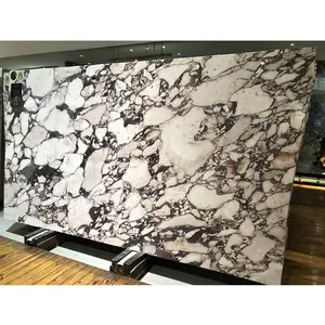 Calacatta Viola White Marble