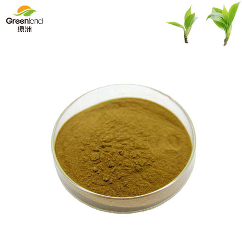 plant extract product