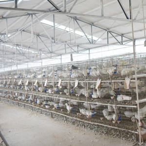 Yüksek kaliteli Avrupa standart güvercin üreme kafesi - Product Image 1