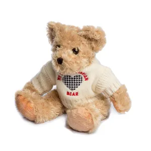 branded vintage teddy bear wearing a sweater