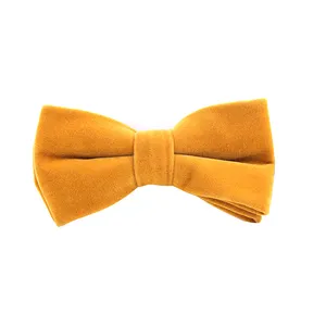 Nieuwe Stijl Diverse Kleur Fluwelen Bowtie, Klassieke Vlinderdas