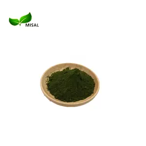 100% pure chlorella vulgaris powder / chlorella powder