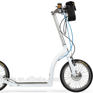 Kit moyeu moteur roue avant électrique, 36v, 350w, pour skateboard, avec double contrôleur, <span class=keywords><strong>16</strong></span> <span class=keywords><strong>pouces</strong></span> - Product Image 1