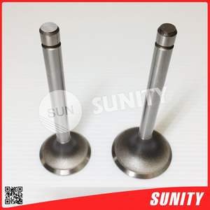 Soupape d'admission et de moteurs d'échappement en acier inoxydable à essence diesel fabriquée à Taiwan - Product Image 4