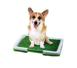 子犬トイレグラスマット犬トレーナー屋内おしっこパッドトレーニングパッチ - Product Image 1