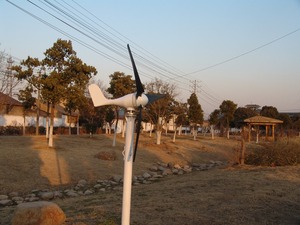 <span class=keywords><strong>Mini</strong></span> 300w 12V/24V Windmühle Haus/Boot/Garten Windmühle Generator mit 3/5 Blättern