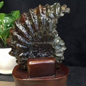 Natural Snail <strong>fossil</strong> Ammonite <strong>Fossils</strong> for Sale <strong>fossil</strong> Gemstones for Decoration - Product Image 2