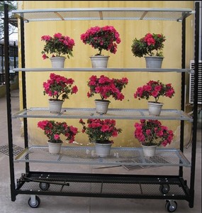 รถเข็นจัดแสดงสวนในเรือนกระจกพร้อมล้อ รถเข็นดอกไม้ - Product Image 4