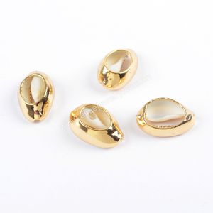 G1690 Groothandel Golden porceleinslak shell kralen porceleinslak shell vergulde kralen voor sieraden maken - Product Image 4