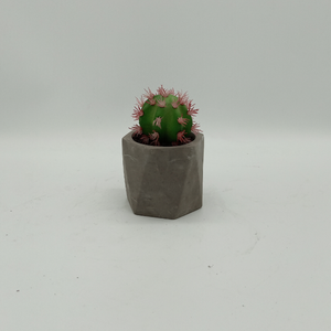 Decorazione per Casa e Giardino, <span class=keywords><strong>Piante</strong></span> Artificiali, <span class=keywords><strong>Cactus</strong></span> Artificiale, Aloe Artificiale <span class=keywords><strong>in</strong></span> <span class=keywords><strong>Vaso</strong></span> - Product Image 4