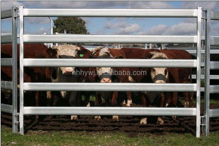 42X115 oval,5/6 carriles