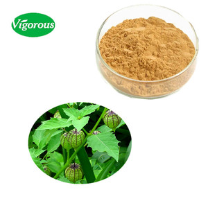 High Quality 10:1 Anti-inflammatory Physalis Angulata <strong>Extract</strong> Powder - Product Image 1