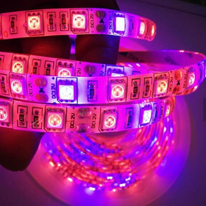 ENJO Lámparas de <span class=keywords><strong>cultivo</strong></span> y partes de las mismas rojo azul 5050 grow <span class=keywords><strong>LED</strong></span> strip Light para el crecimiento de las plantas - Product Image 6