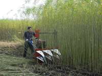 Vente en gros par les fabricants des machines agricoles les plus importantes : Moissonneuses-batteuses, faucheuses-lieuses et coupe-rangs