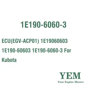 ECU (EGV-ACP01) 1E19060603 1E190-60603 1E190-6060-3 Kubota