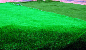 Herbe <span class=keywords><strong>synthétique</strong></span> courte de 10mm bon marché légère pour le jardin - Product Image 6
