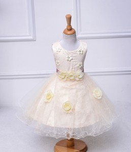 Champagne flower of the baby sleeveless dress rustic petal puffy christening gown princess costume - Product Image 3