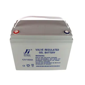 Onderhoud gratis oplaadbare elektrische auto batterij 12 v 100AH met lader