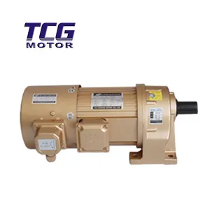 TCG दर्पण/V-22-750-10S बिजली की मोटर एसी 220/380v 3-चरण फैक्टरी सीधे
