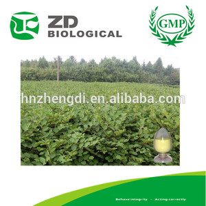 Palo de tigre, fleeceflower japonés, gigante knotweed extracto en polvo - Product Image 1
