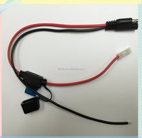 Kabel Harness RoHS SAE 1015 2Pin Merah&Hitam 16AWG 600V 105C Perakitan Kabel Daya Sekring 5A Panjang 550mm Aplikasi Elektronik