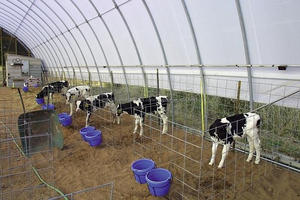 Ferme élevage <span class=keywords><strong>abri</strong></span>, Tente animal, <span class=keywords><strong>Abri</strong></span> <span class=keywords><strong>voiture</strong></span>, Tente de stockage de - Product Image 4