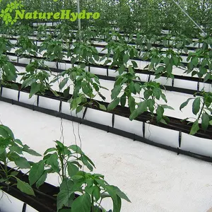 Home Growing System Hydroponics Trough For Greenhouse Production