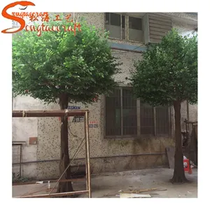 Update 10 ft high cheap artificial trees ficus nitida dried trees for decoration