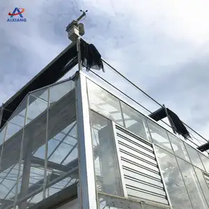 AiXiang 농업 유리 장비 온실 가격