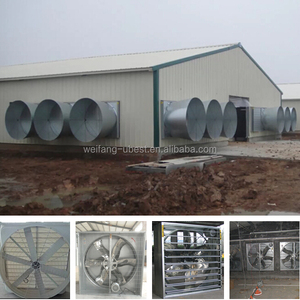 Lage kosten gevogelte kip <span class=keywords><strong>farm</strong></span> building voor Filippijnen - Product Image 6