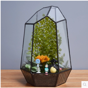 Glas pflanzen box Unregelmäßiges geometrisches <span class=keywords><strong>Terrarium</strong></span> glas - Product Image 3