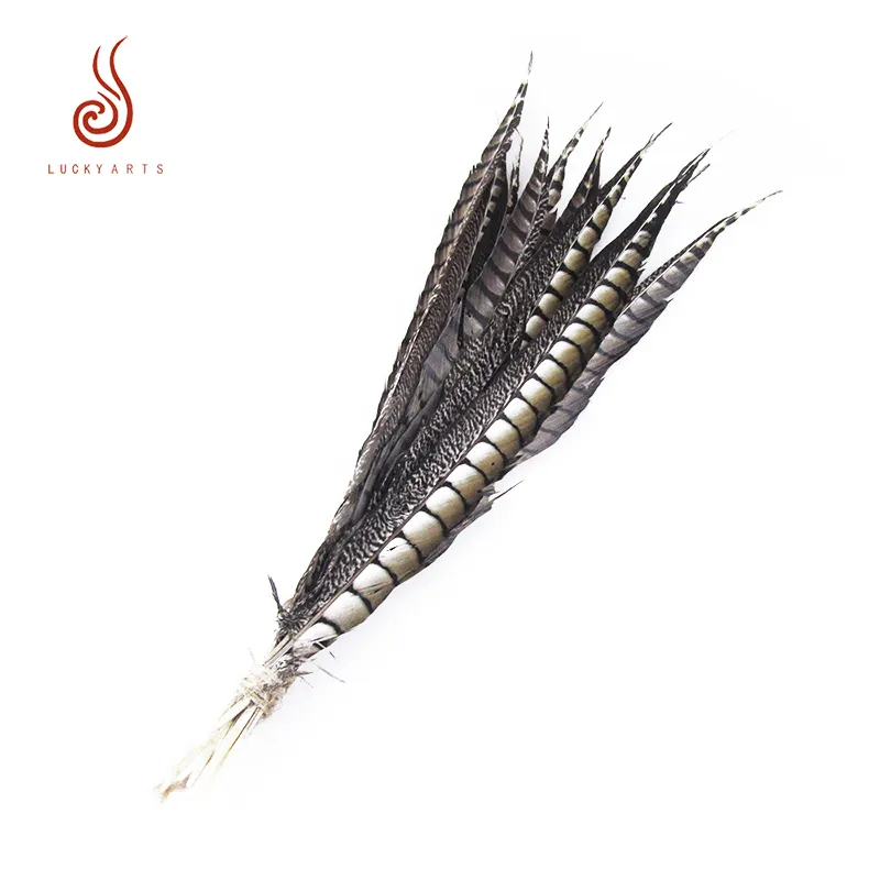 China factory wholesale 55-60cm natural pheasant feather for home decoration