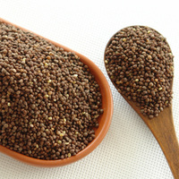 Cina Non GMO Fructus Illae Seed