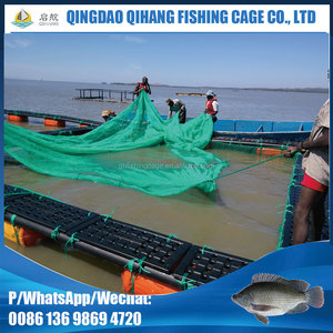 Qihang Nổi Dưa Chuột Biển và Abalone Lồng Ròng Ròng - Product Image 3