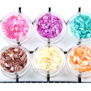 TSZS 12 color Natural Sea Shell 3d Charm Slice DIY Salon Decals Tools Colored Stone Nail Art Decoration