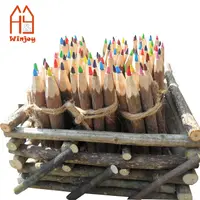 12 개 지점 및 나뭇 가지 연필 모듬 색상 연필