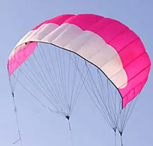 2.5 米风筝冲浪来自潍坊工厂的广告充气软实力风筝