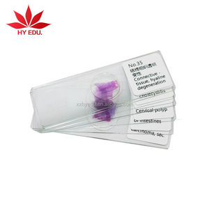 ชุดสไลด์เนื้อเยื่อสัตว์และมนุษย์ ยอดนิยม 100 ชิ้น บรรจุในกล่องไม้ - Product Image 1
