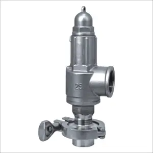 Best sale balanced safety relief valve 200 bar insert for steam