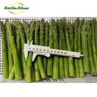 Fresh Green Asparagus, Frozen