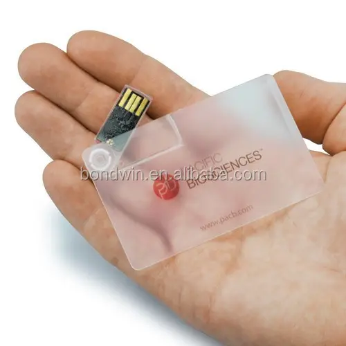 Transparante Plastic Nieuwe Ontwerp Credit Card Usb Flash Drive Disk 2Gb Voor Relatiegeschenk