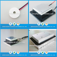 Module de refroidissement Peltier Z Max avec certificat RoHS ISO