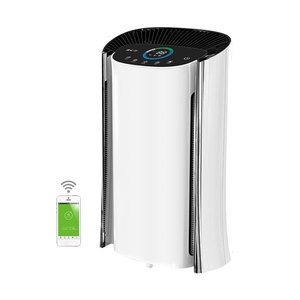cheapest air purifier