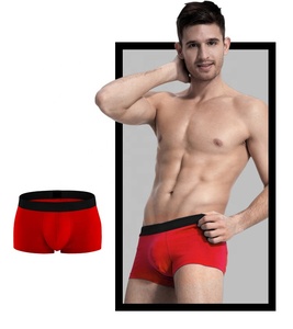 Sous-vêtements pour hommes avec logo personnalisé, boxers pour hommes en stock, taille élastique, taille mi-haute, caleçons pour hommes - Product Image 4