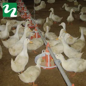 Poultry Equipment Automatic Chicken Ducks Feeder Drinker Pan Feeding System Broiler