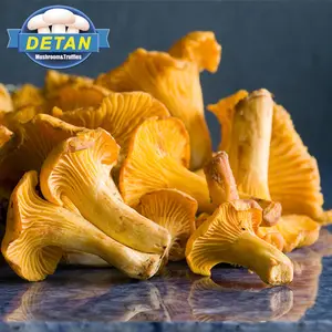 Detan Wild Chanterelle in All Types of Mushrooms